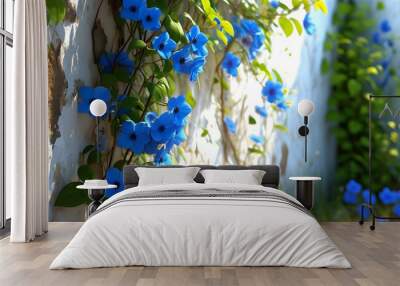 Lush garden corner with vibrant blue climbing flowers cascading over a charming white stucco wall, enveloped in a serene atmosphere Wall mural