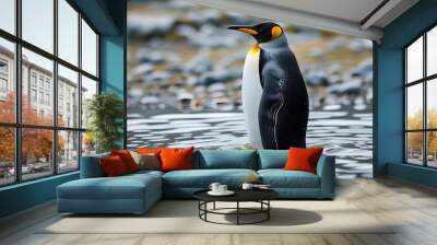 Majestic King penguin gracefully poised in tranquil waters Wall mural