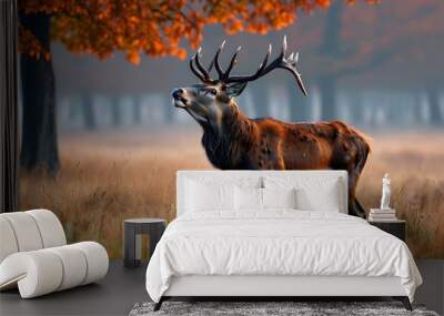 Majestic red deer stag in a misty autumn field of grass Wall mural