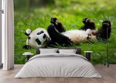 Playful baby panda in lush green grass, embodying joy and innocence amidst the beauty of nature and wildlife Wall mural