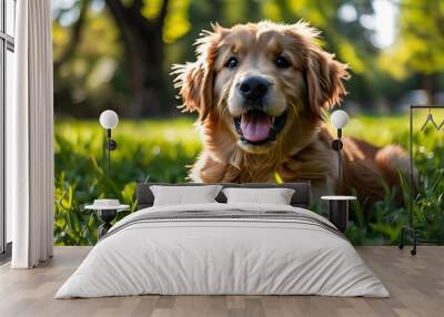 playful golden retriever puppy frolicking joyfully in a sunny park, fur gleaming in sunlight with a lush green lawn backdrop Wall mural