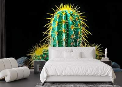 Striking green cactus with yellow spines contrasts boldly against a black backdrop, showcasing its unique shape and texture for a nature-inspired design. Wall mural