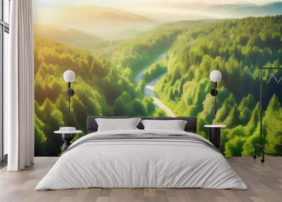 Sunlit Forest Road Symbolizing Sustainable Energy and Environmental Responsibility Wall mural