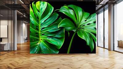 Tropical Leaf in Bold Color Splash Against a Black Background Wall mural