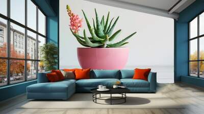 Vibrant aloe vera plant in a stylish pink pot against a clean white backdrop, ideal for enhancing indoor spaces and promoting natural skincare. Wall mural