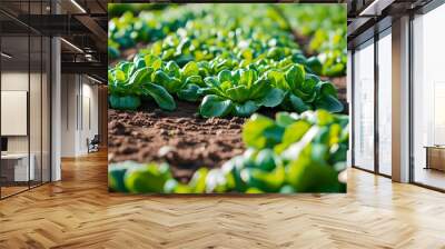 vibrant close-up of vegetable plantation with lush green crops growing neatly in organized rows Wall mural