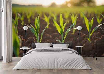 Vibrant farm landscape featuring baby sprouts of crops flourishing in rich, fertile soil Wall mural