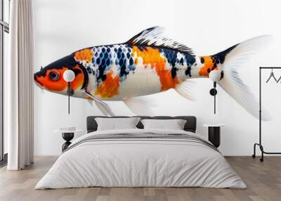 Vibrant Koi Fish Display Against a Crisp White Background Wall mural