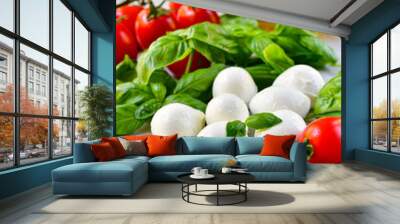 Italian caprese salad. Italy food Ingredients mozzarella buffalo, fresh basil, red tomatoes and olive oil. Italian cuisine, healthy lunch meal.  selective focus, copy space Wall mural