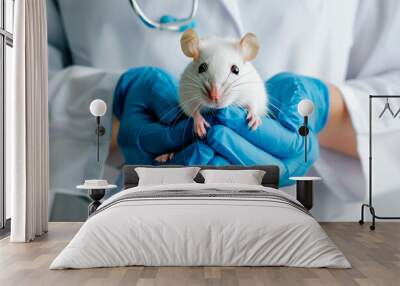 Veterinarian holding rat in blue rubber gloves for examination in clinic Wall mural