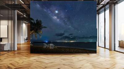 The Milky Way rises above the sea by the beach at night. Wall mural