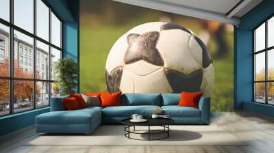 Close up soccer ball on green grass Wall mural