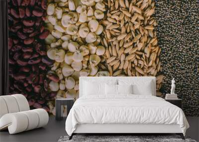 seeds background Wall mural