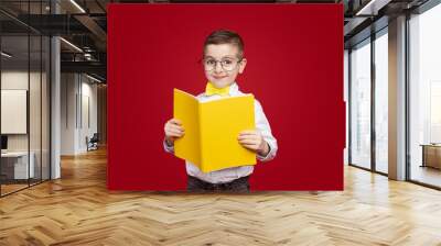 Smart kid with yellow textbook Wall mural