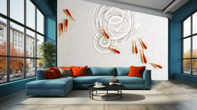 泳ぐ赤い金魚 Wall mural