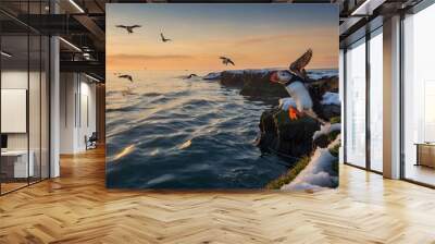 A scenic view of puffins flying over the ocean during sunset, surrounded by rocky cliffs. Wall mural