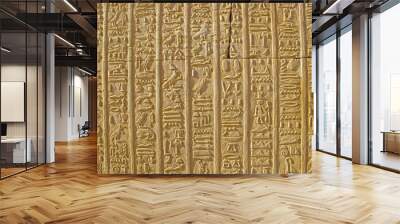 Egyptian Hieroglyph Wall Wall mural