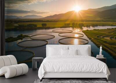 Aerial top view of fish farming in a beautiful lake and landscape Wall mural