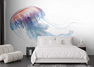 Jellyfish isolated on transparent background (PNG)  Wall mural