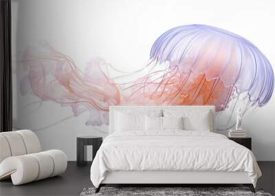 Jellyfish isolated on transparent background (PNG)  Wall mural