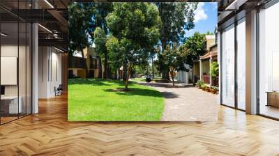 Pedestrian Forbes street view with garden and trees in Woolloomooloo Sydney NSW Australia Wall mural