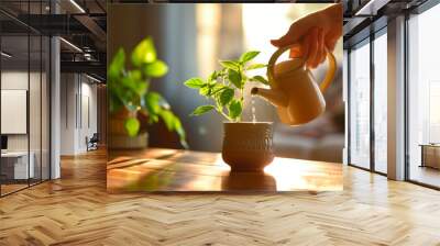 Person watering a small green plant in a pot in home office room Wall mural