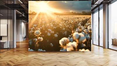 Scenic view of a cotton field with sun light Wall mural