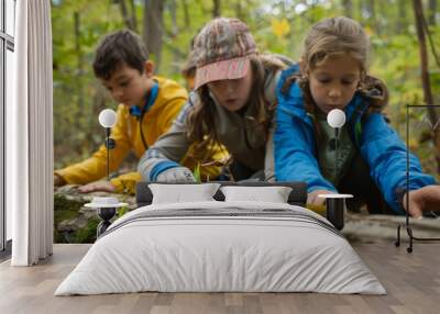 Students learning outdoors in forest, hands-on activities such as environmental science experiments, benefits of outdoor education in fostering connection to natural world and experiential learning Wall mural