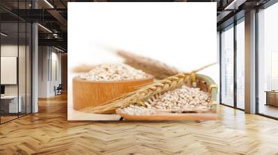 organic barley grains Wall mural