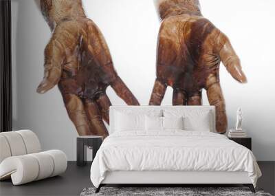 human hands stained with black petroleum isolated on white Wall mural