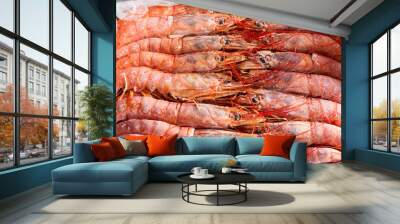 Orange frozen langoustines, close up view Wall mural