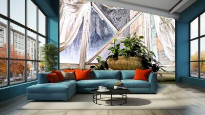 A potted plant sits on a windowsill with white sheer curtains blowing in the breeze Wall mural