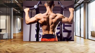 Handsome young male bodybuilder in gym. Big strong man during training in the gym. Guy with big muscles who is an athlete, trainer or instructor Wall mural