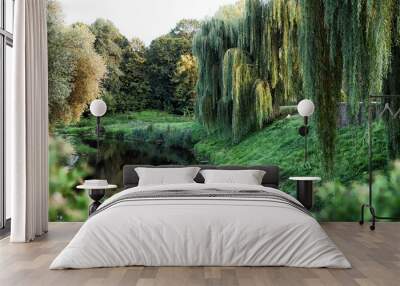 Willow tree by the river in a summer day Wall mural