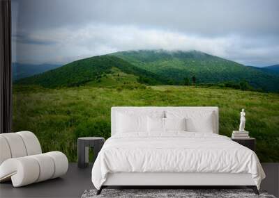 Fog Rolls in over Grassy ridge Bald with trail Wall mural