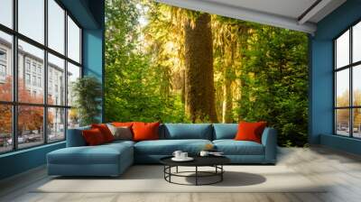 Large Tree Trunk Glows Golden In Bright Green Forest Wall mural