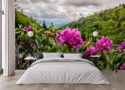 Rhododendron in early summer Wall mural