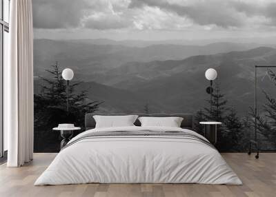 Monochrome View of Great Smoky Mountains Wall mural