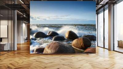 waves rocks stones and baltic sea Wall mural