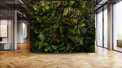 Creative nature green background, tropical leaf banner or floral jungle pattern concept. Wall mural