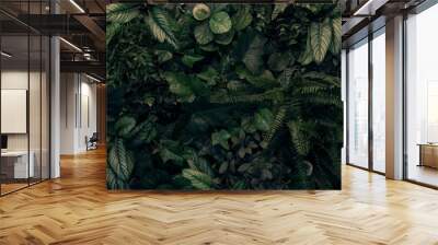 Creative nature green background, tropical leaf banner or floral jungle pattern concept. Wall mural