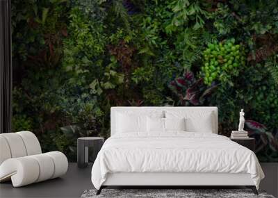 Creative nature wall background, tropical leaf banner or floral jungle pattern concept. Wall mural