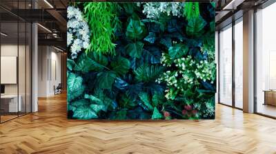 Creative nature wall background, tropical leaf banner or floral jungle pattern concept. Wall mural