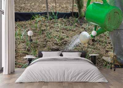 Close-up of a farmer watering onion plants with a watering can in the field, copy space left. Wall mural