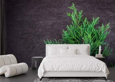  Green branch on gray background  Wall mural