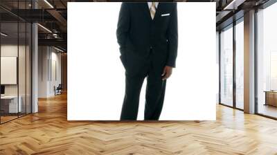 business man in black suit 2 Wall mural