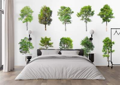 Isolated Trees on white background , The collection of trees. Wall mural