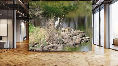 池の畔で獲物を狙う青鷺の風景2 Wall mural