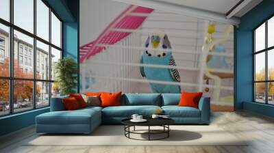 blue bird  Wall mural