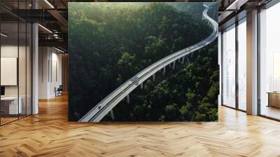 aerial shot of  car using elevated highway road across a green forest in the morning with mist Wall mural